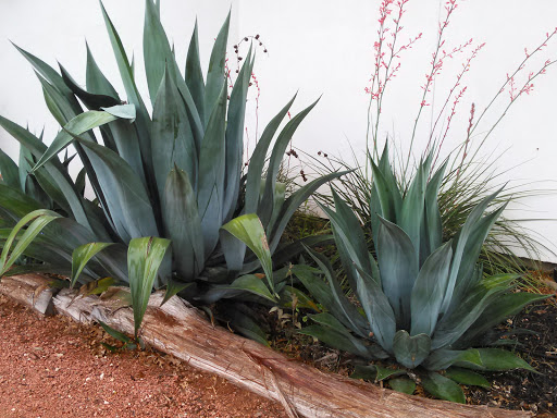 Winery «Hilmy Cellars - Vineyards, Winery & Tasting Room», reviews and photos, 12346 US-290, Fredericksburg, TX 78624, USA