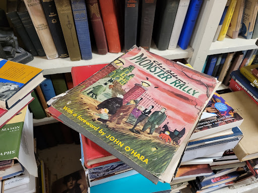 Used Book Store «Black Swan Books», reviews and photos, 505 E Maxwell St, Lexington, KY 40502, USA