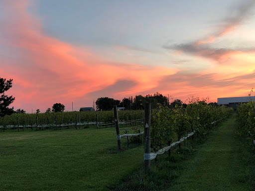 Winery «Dancing Dragonfly Winery», reviews and photos, 2013 120th Ave, St Croix Falls, WI 54024, USA