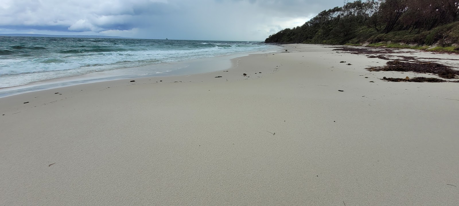 Foto van Cabbage Tree Beach met ruim strand