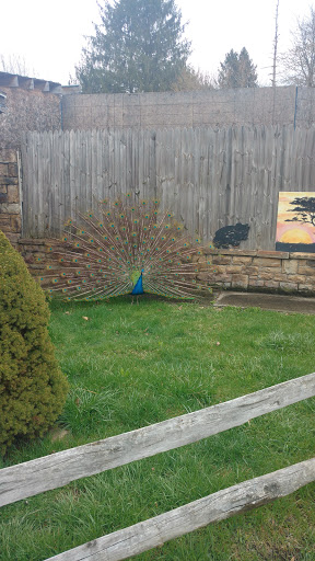 Zoo «Tri-State Zoological Park», reviews and photos, 10105 Cottage Inn Ln NE, Cumberland, MD 21502, USA