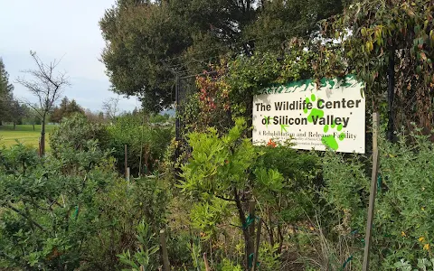 Wildlife Center of Silicon Valley image