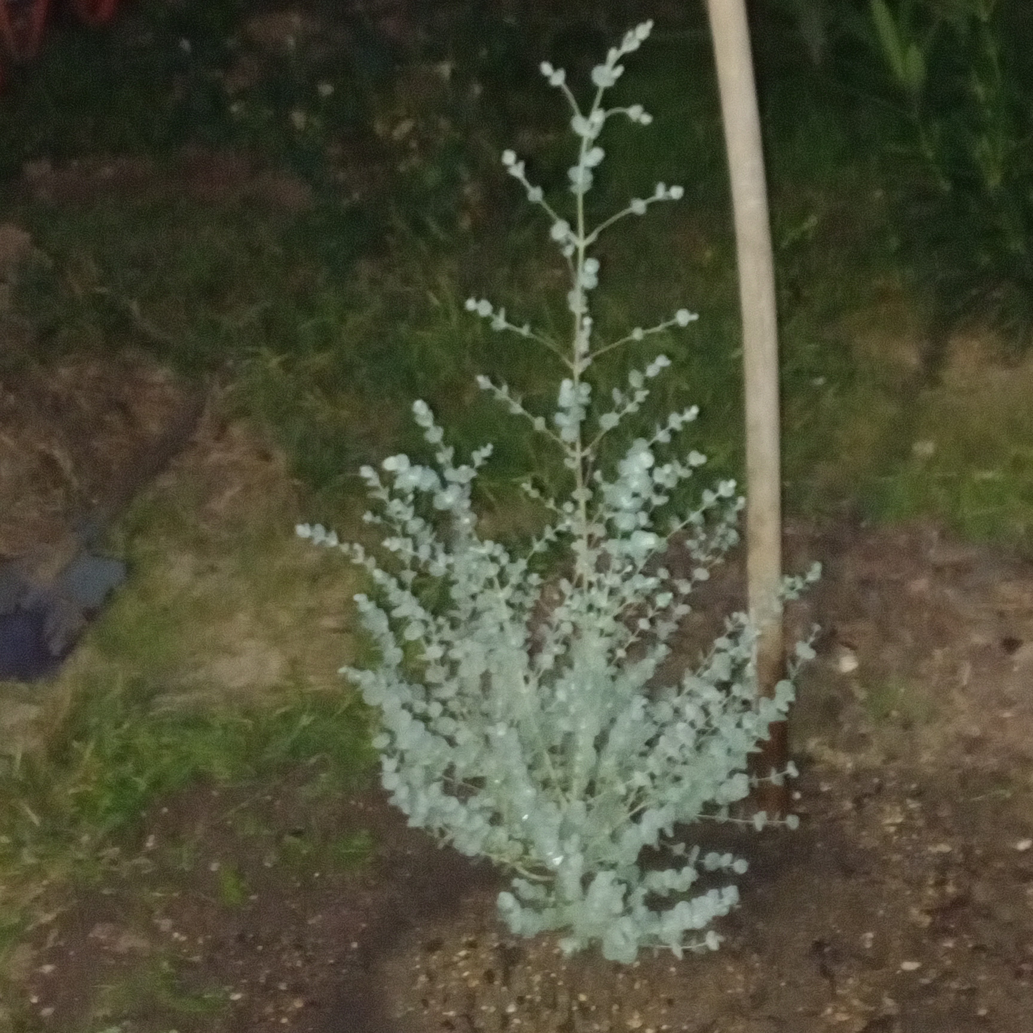 Photo n° 1 de l'avis de Grenade.a fait le 02/10/2023 à 18:17