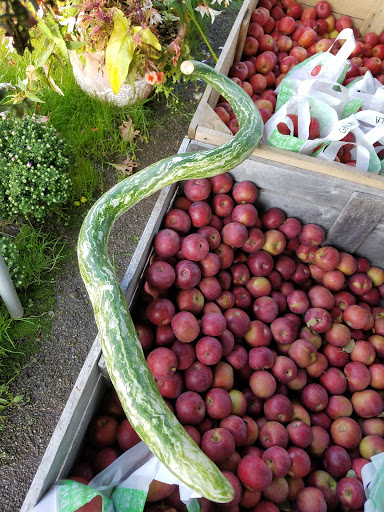 Produce Market «The Bigsby Market», reviews and photos, 1418 Dryden Rd, Freeville, NY 13068, USA