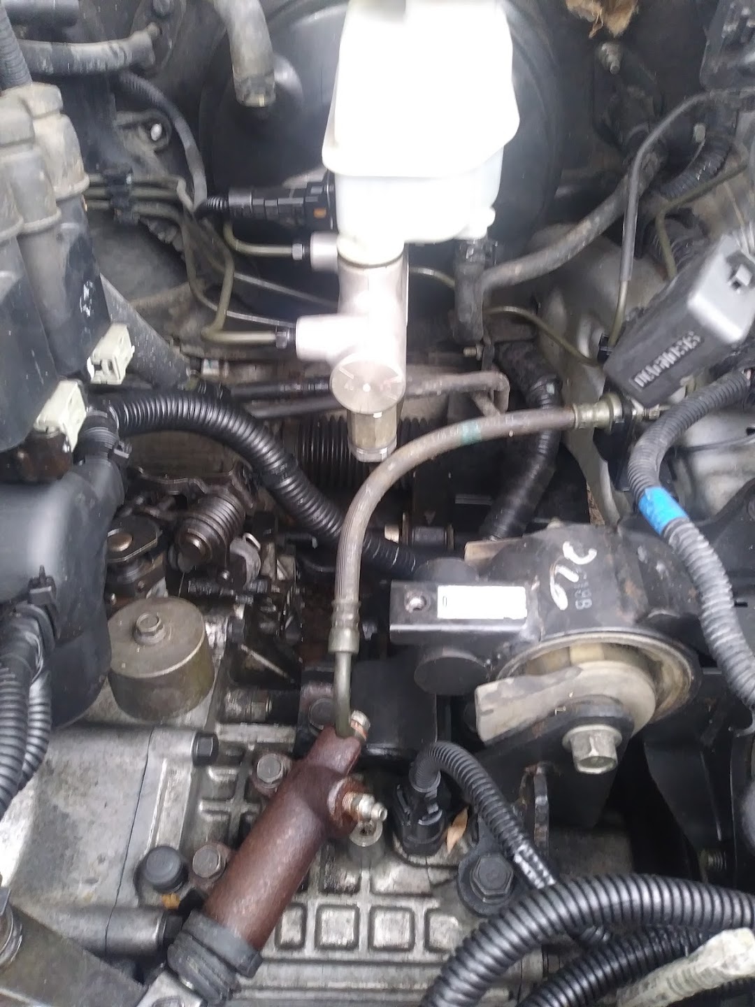 Los Amigos Auto Repair