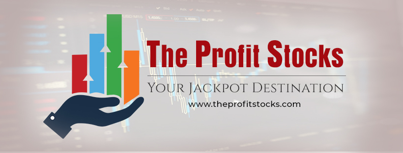 The Profit Stocks