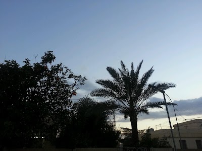 Photos of Firas Market