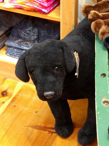 Clothing Store «The Black Dog General Store», reviews and photos, 214 Main St, Falmouth, MA 02540, USA