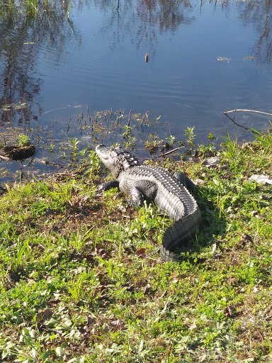 Pet Store «Phillips Feed & Pet Supplies», reviews and photos, 4350 Amberjack Blvd, Plant City, FL 33566, USA