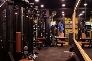 MUSCLE FACTORY GYM AND CROSSFIT image