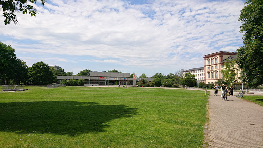Mensawiese Universität Mannheim