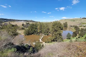 Lower Molonglo Nature Reserve image