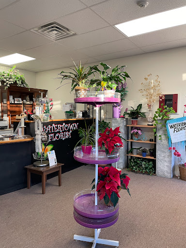 Florist «Watertown Florist Shop», reviews and photos, 449 Main St, Watertown, MA 02472, USA