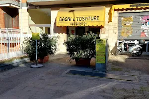 Bagni e Tosature image