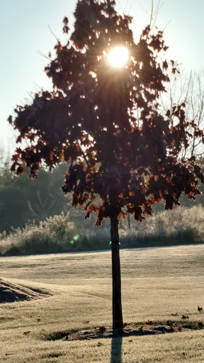 Nature Preserve «Greenbelt Forest Preserve», reviews and photos, 1110 S Green Bay Rd, North Chicago, IL 60035, USA