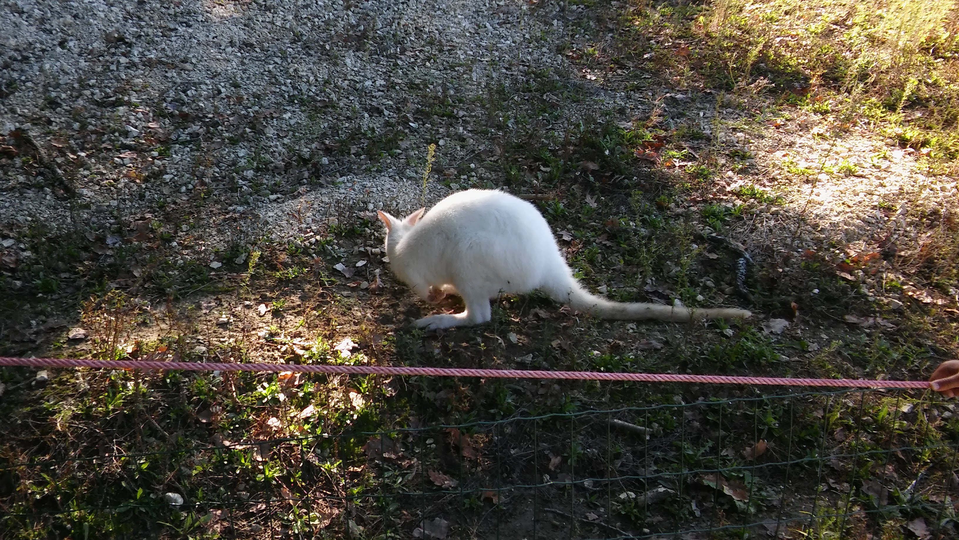 Photo n° 3 de l'avis de Yuri.a fait le 02/11/2018 à 08:01