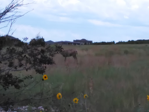 Golf Club «The Club At Pradera», reviews and photos, 5225 Raintree Dr, Parker, CO 80134, USA