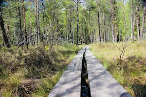 Tremanskärr Nature Trail image
