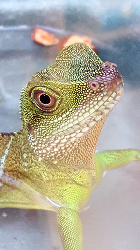 Pet Supply Store «PetSmart», reviews and photos, 1751 N Central Expy, McKinney, TX 75070, USA