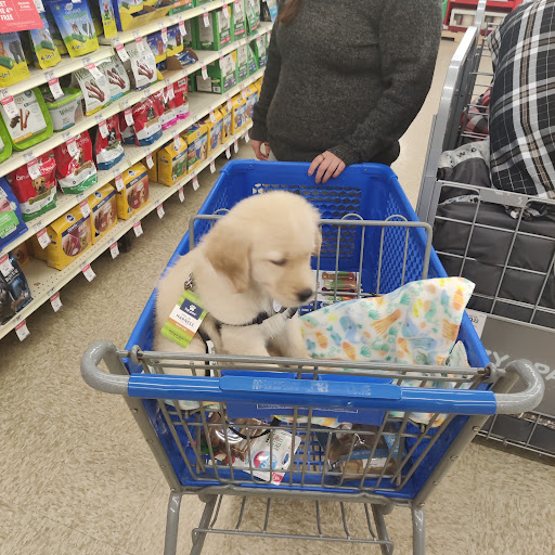 Pet Supply Store «PetSmart», reviews and photos, 2026 Lincoln Way E, Massillon, OH 44646, USA