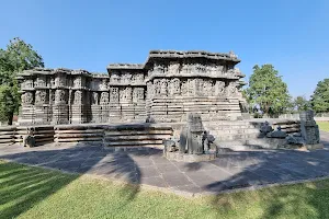 Shri Kedareshwara Swamy Temple (Halebidu) image