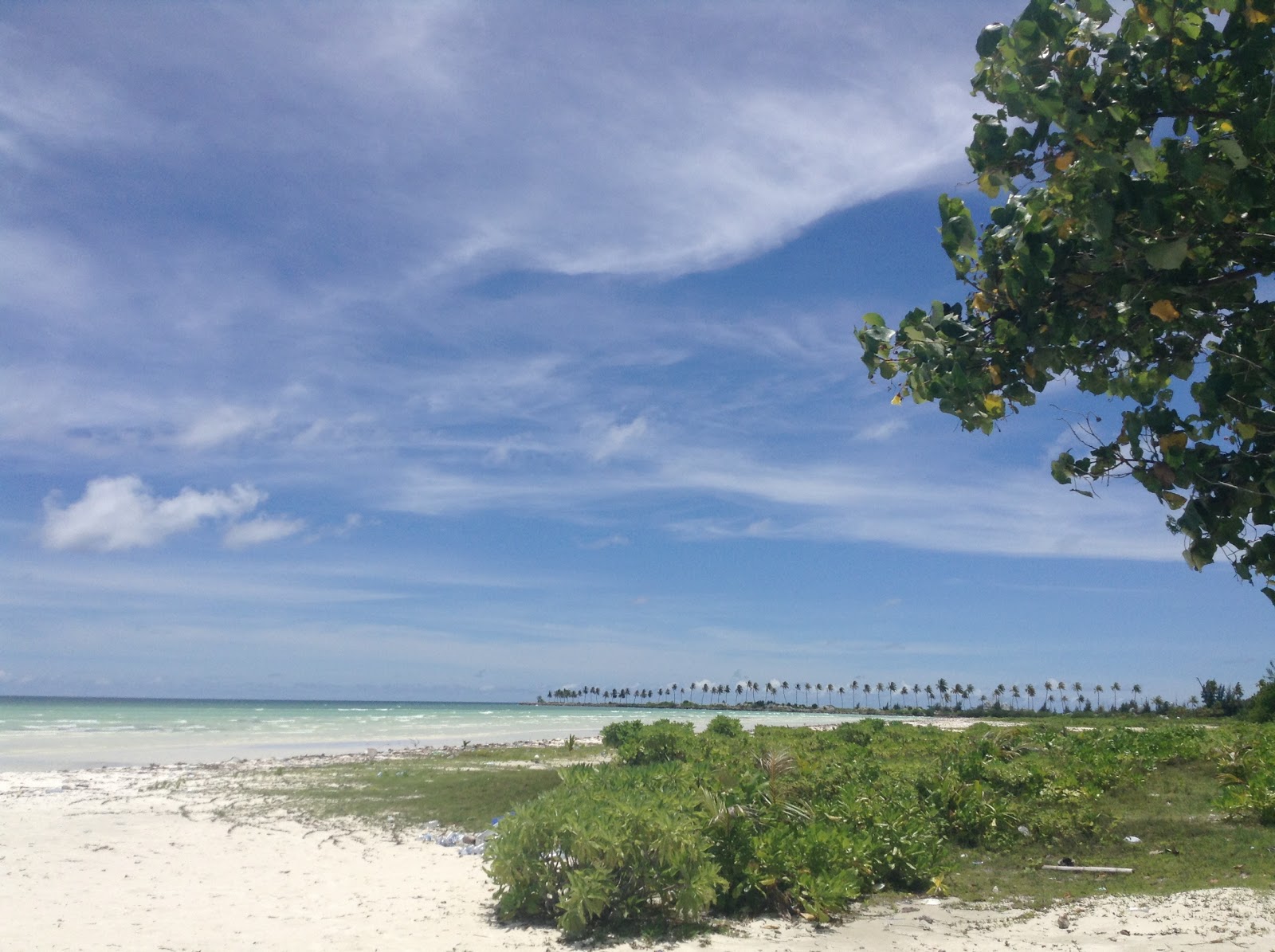 Foto de Kadhdhoo Beach com areia brilhante superfície