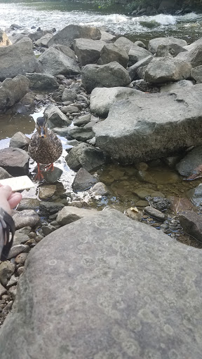 Nature Preserve «GRIGGS RESERVOIR PARK», reviews and photos, 2933 Riverside Dr, Columbus, OH 43221, USA