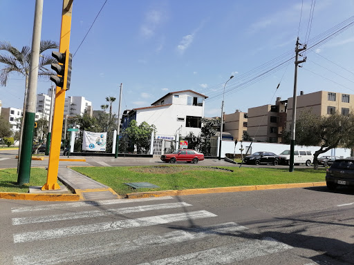 Colegio Químico Farmacéutico Del Perú