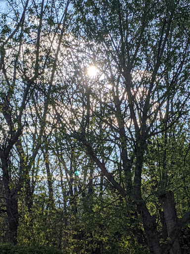 Supermarket «The Harrison Market», reviews and photos, 355 Halstead Ave, Harrison, NY 10528, USA