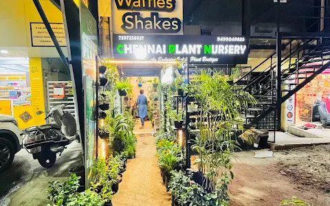 Chennai Plant Nursery image