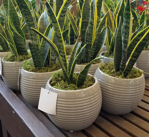 Home Improvement Store «The Home Depot», reviews and photos, 1625 S Mountain Ave, Monrovia, CA 91016, USA