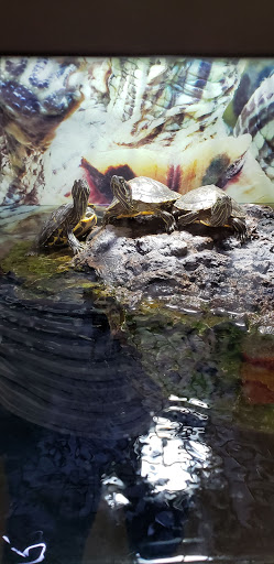 Pet Supply Store «Petco Animal Supplies», reviews and photos, 3194 FM407, Highland Village, TX 75077, USA