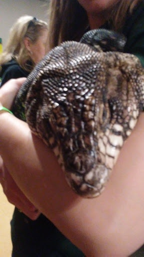 Reptile Store «Cleveland Reptile Show», reviews and photos, 17250 Hummel Rd, Brook Park, OH 44142, USA