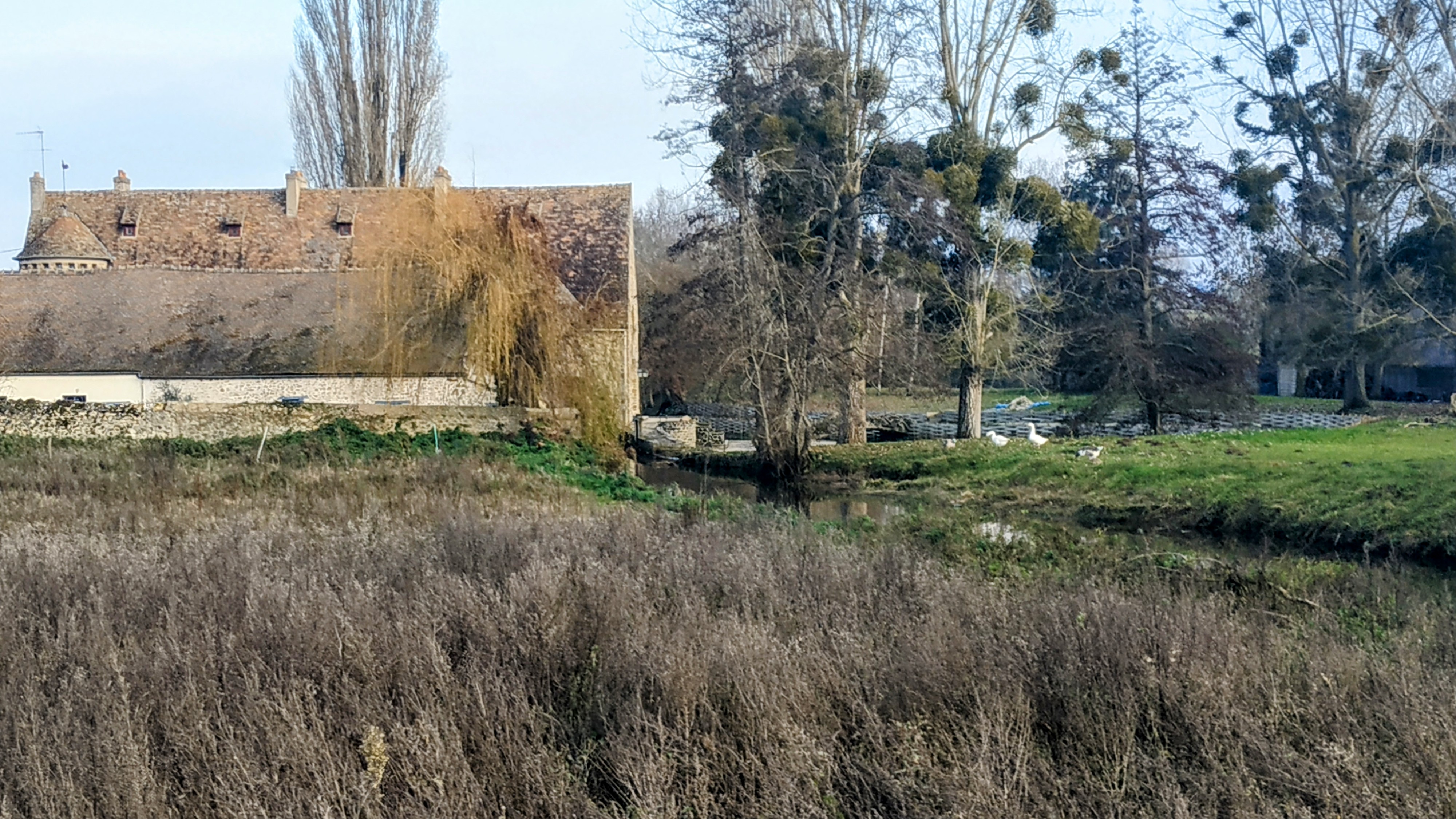 Photo n° 1 de l'avis de The.a fait le 12/12/2022 à 16:29