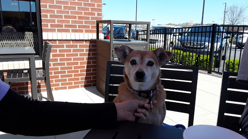 Fast Food Restaurant «Chick-fil-A», reviews and photos, 511 W Avalon Ave, Muscle Shoals, AL 35661, USA