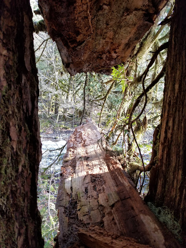 Park «Pfeifer Park», reviews and photos, 14074 SE 139th Ave, Clackamas, OR 97015, USA