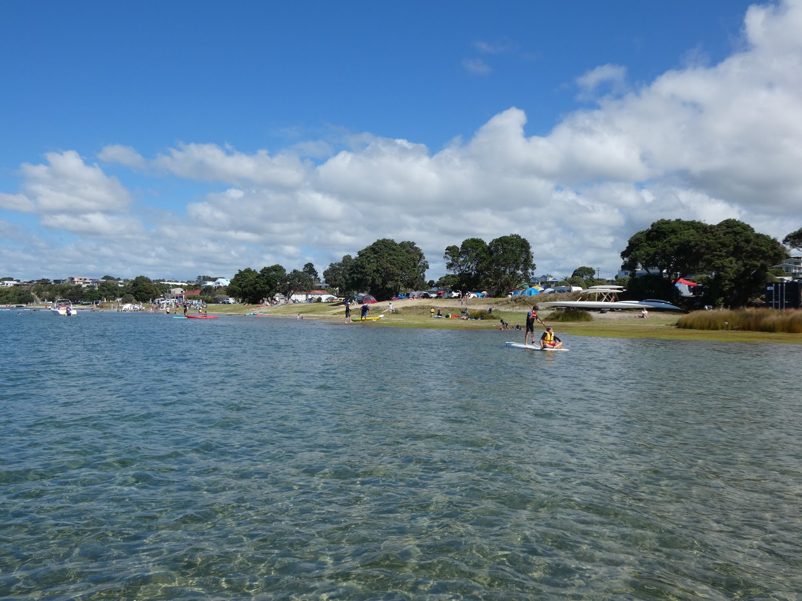 Foto di Mangawhai Beach con una superficie del acqua turchese