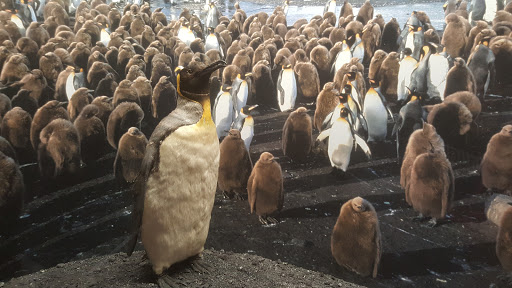 Museum «Delaware Museum of Natural History», reviews and photos, 4840 Kennett Pike, Wilmington, DE 19807, USA