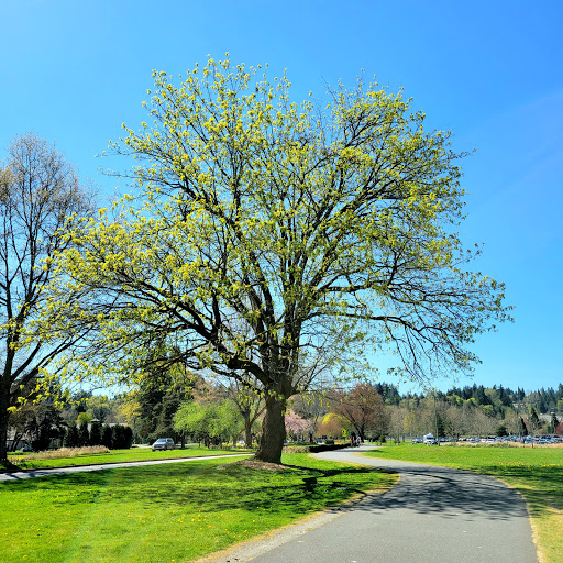Park «Marymoor Park», reviews and photos, 6046 West Lake Sammamish Pkwy NE, Redmond, WA 98052, USA