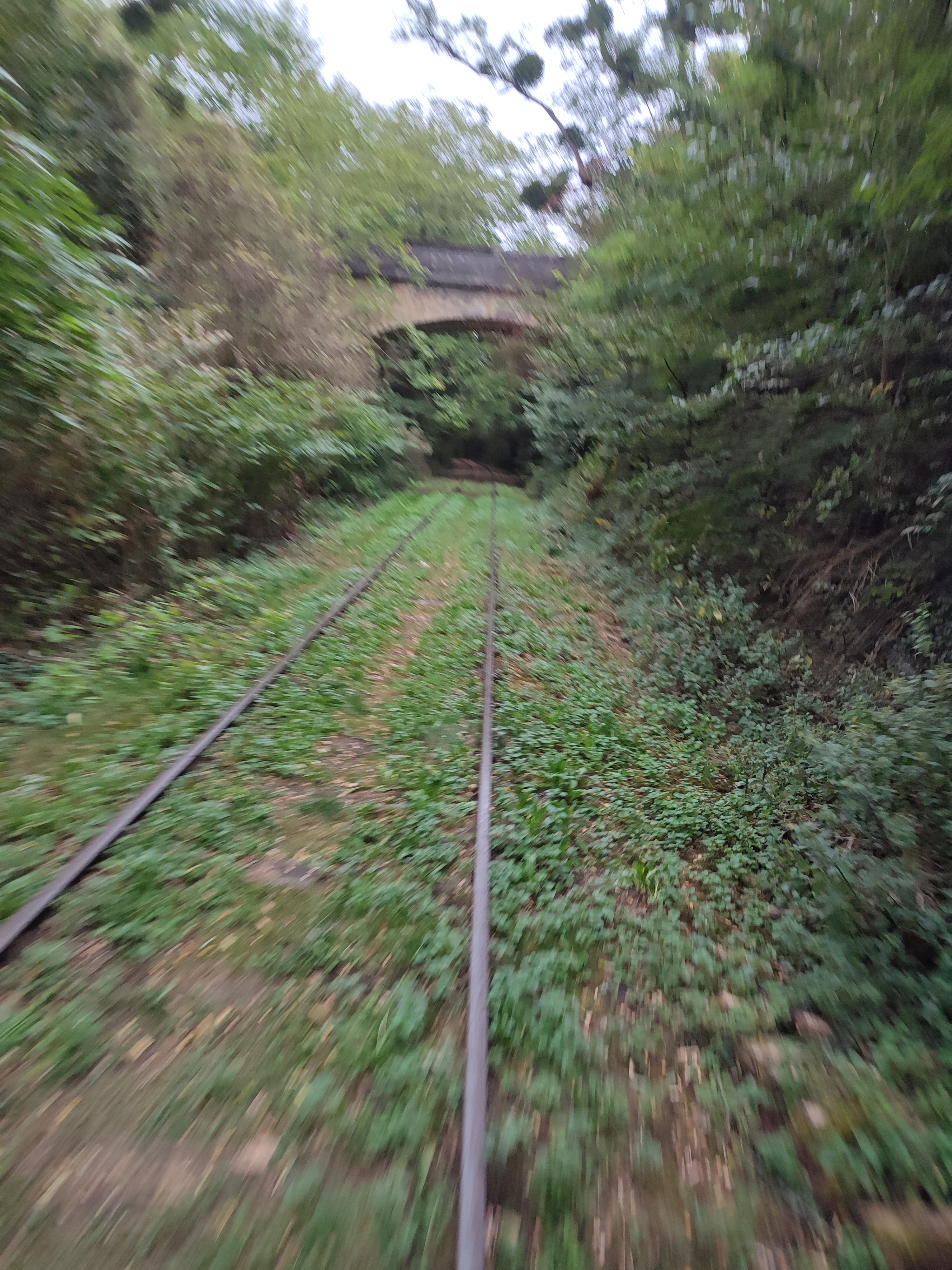 Photo n° 4 de l'avis de Leo.a fait le 25/08/2023 à 16:52