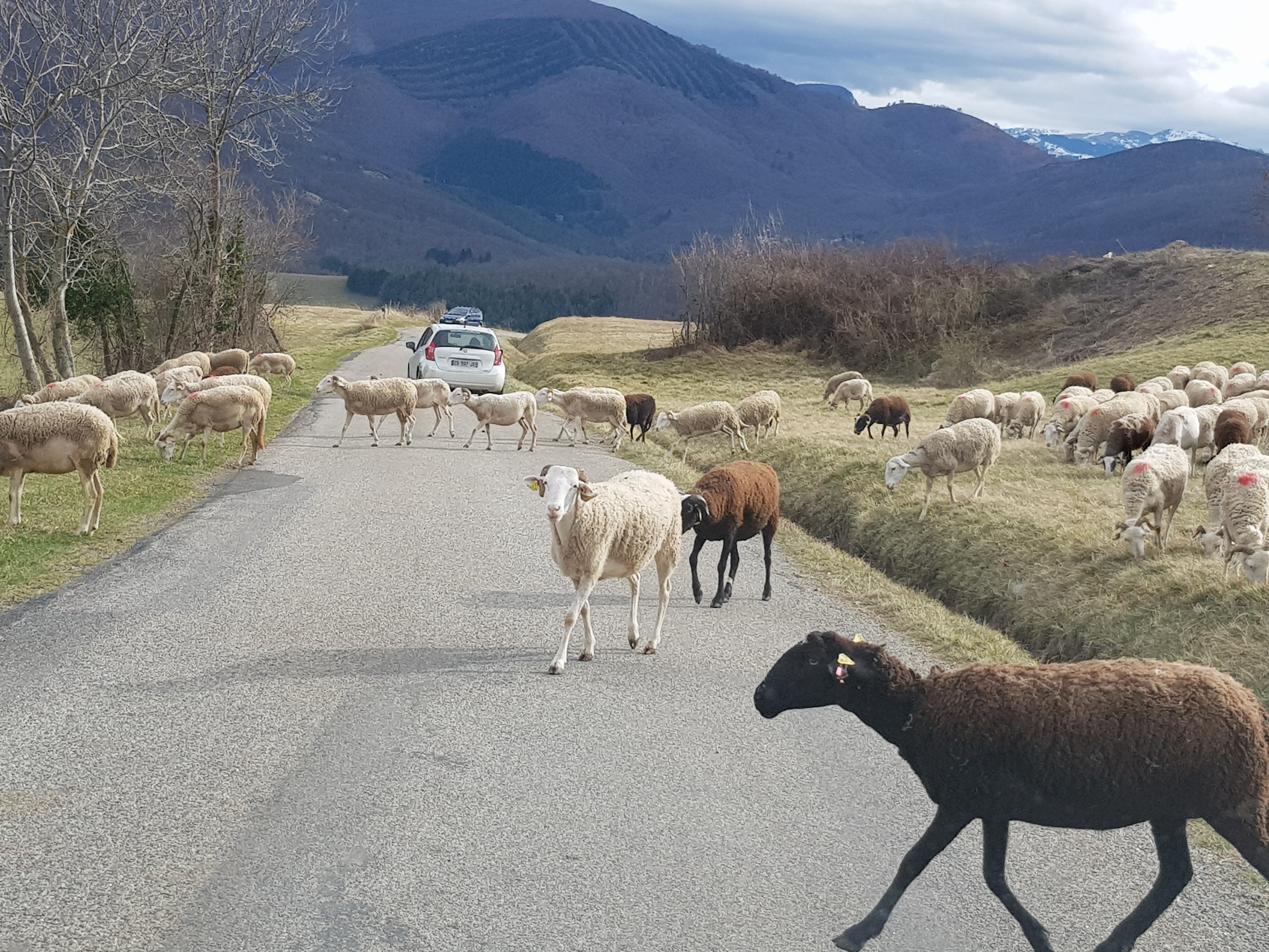 Photo n° 23 de l'avis de Jørn.. fait le 19/03/2019 à 07:50