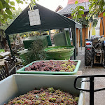 Photo n°5 de l'avis de Jutta.a fait le 20/09/2023 à 09:13 sur le  Arno's Straußwirtschaft & Winery Kieninger à Buggingen