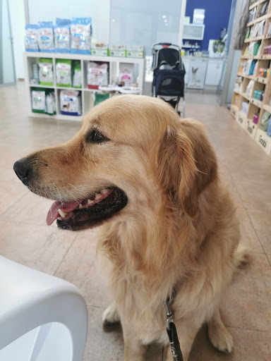 Pet Doctors Clínica Veterinaria en Punta Prima