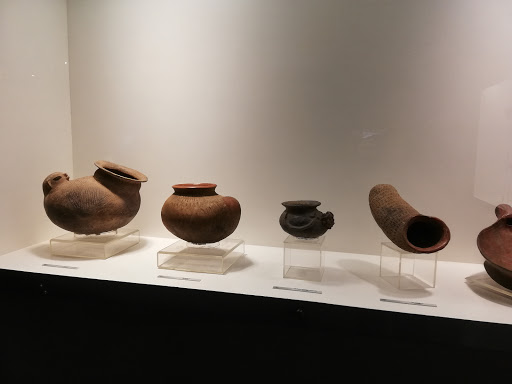 Museo Antropologico y de Arte Contemporaneo