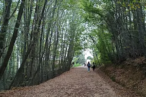 Polonezköy Nature Park image