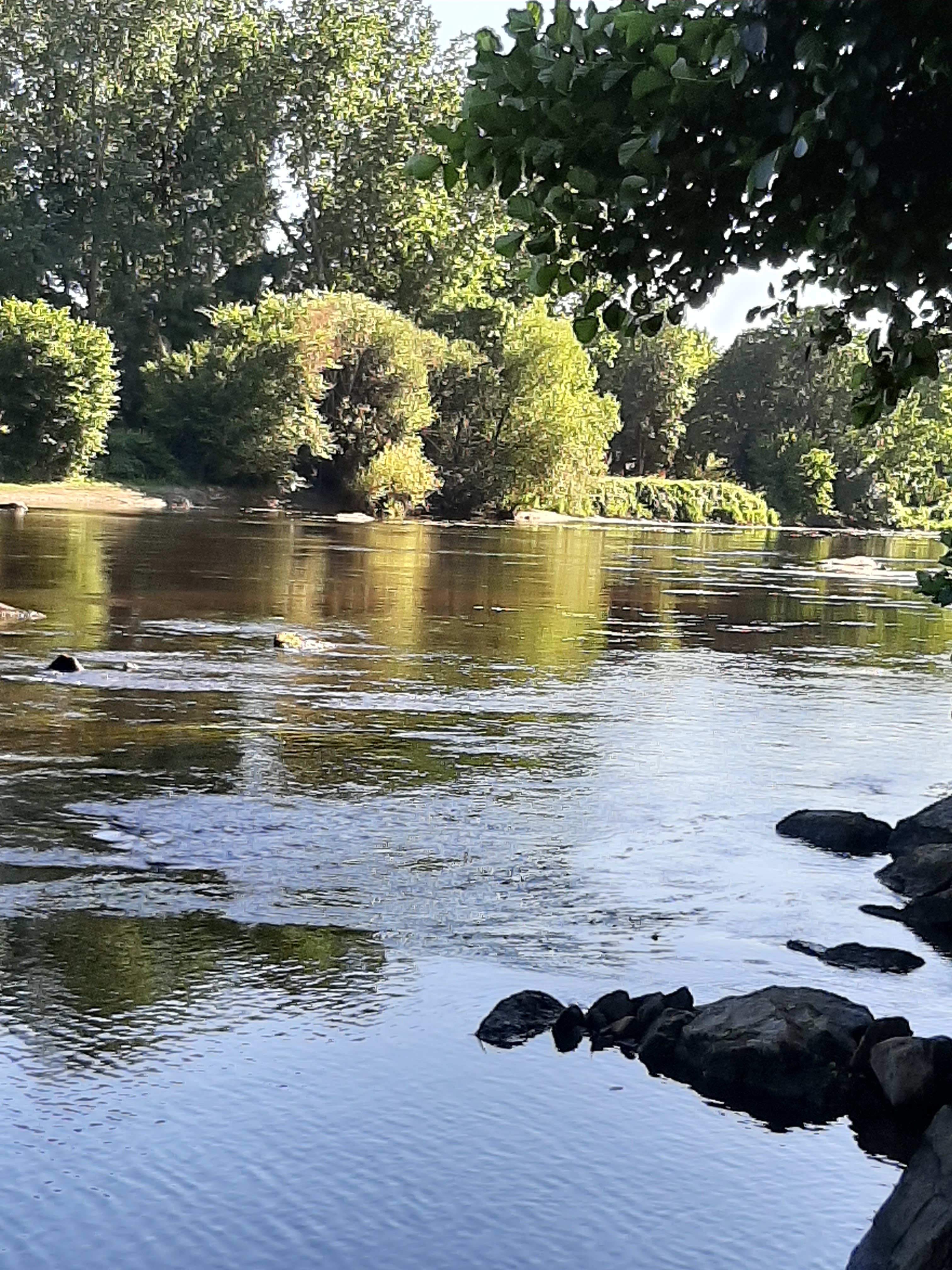 Photo n° 2 de l'avis de Peguie.l fait le 15/07/2020 à 05:51