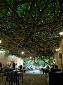 Atmosphère du Restaurant Le Trèfle À Quatre Feuilles à Langeac - n°6