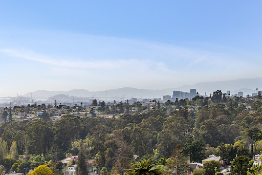 Remy Weinstein - REALTOR image