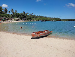 Zdjęcie Ponta dos Castelhanos Beach położony w naturalnym obszarze