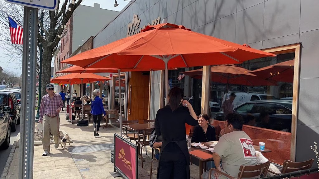 Blossom Asian bistro 07901